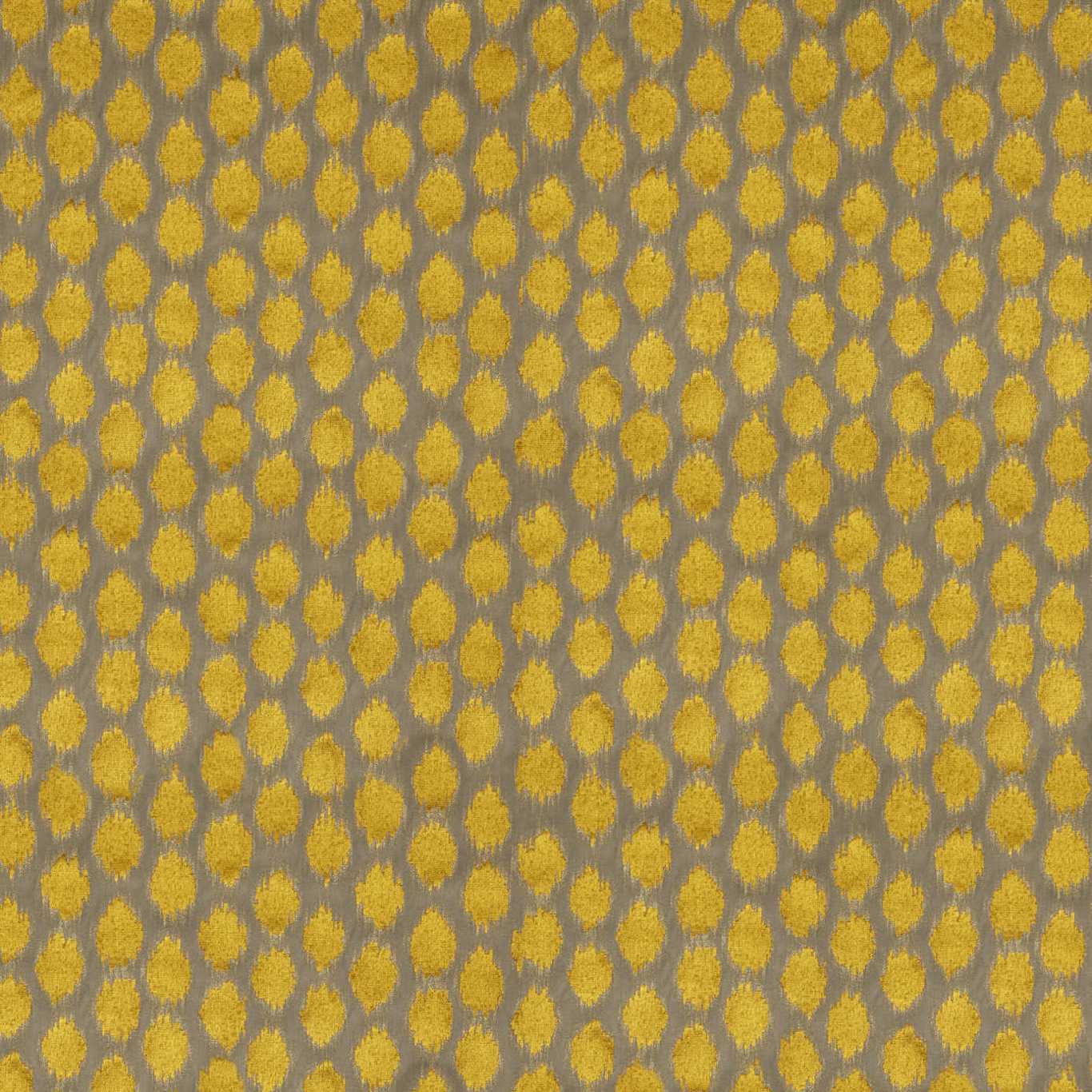 Ikat Spot Zoffany Fabrics Studio 198 London ikat-spot-zoffany-fabrics-studio-198-london