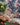 Clarke & Clarke Fabrics - studio198