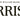 Morris & Co. Designer Textiles - studio198