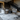 Luxury Rugs Collection - studio198