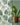 Wedgwood Wallpaper - studio198