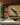 Zoffany Wallpapers - studio198