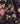 Lotus Garden Velvet Fabric by Liberty - Studio 198