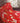 Lac de vénus Fabric by Jannelli & Volpi - Studio 198