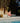 Petit Paradis Fabric by Zimmer + Rohde - Studio 198