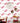 Sardines Red Premium