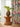 Seychelles Fabric by Jim Thompson - Studio 198