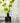 Winter Garden Fabric by Pollack - Studio 198