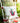 Roots Of Transylvania Linen Embroidered Cushion