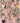 Royal Garden Pink Velvet