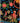 Fasnacht Anthracite Velvet