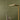 Kashmir Wallpaper by Casamance - Studio 198