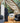 Galileo Fabric by Casal - Studio 198