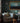 Kastanj