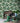 Tropical Leaf Premium