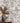 Street Signs Brown Premium
