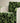 Tropical Fabric by Jannelli & Volpi - Studio 198