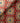 Tibetan Sun Fabric by Jim Thompson - Studio 198