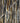 Cascadia Fabric by Jim Thompson - Studio 198
