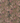 Alcea Floral