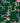 Cath Kidston Birds & Berries Wallpaper by Cath Kidston - Studio 198