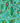 Quetzal