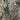 Borrommee Wallpaper by Casamance - Studio 198