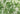 Tropical Fabric by Jannelli & Volpi - Studio 198