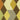 Midpoint Fabric by Knoll Textiles - Studio 198