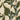 Equilibrium Fabric by Pollack - Studio 198