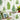 Fernery Wallpaper by Sanderson - Studio 198