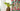 Seychelles Fabric by Jim Thompson - Studio 198