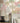 Silvia Wallpaper by Jannelli & Volpi - Studio 198