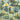 Cacti Wallpaper Wallpaper by Woodchip & Magnolia - Studio 198