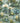 Cacti Wallpaper Wallpaper by Woodchip & Magnolia - Studio 198