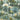 Cacti Wallpaper Wallpaper by Woodchip & Magnolia - Studio 198