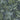 Fern in Lush Green Wallpaper Wallpaper by Woodchip & Magnolia - Studio 198