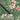 Zen Wallpaper Wallpaper by Woodchip & Magnolia - Studio 198
