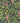 Horse Chestnut Pink/Green Wallpaper Wallpaper by Woodchip & Magnolia - Studio 198