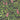 Horse Chestnut Pink/Green Wallpaper Wallpaper by Woodchip & Magnolia - Studio 198