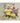 September Chrysanthemum Ready Made Mural