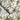 Zen Wallpaper Wallpaper by Woodchip & Magnolia - Studio 198