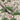 Crane Bird Wallpaper Wallpaper by Woodchip & Magnolia - Studio 198