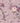 Dawn Chorus Wallpaper Wallpaper by Woodchip & Magnolia - Studio 198