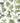 Va Va Frome Green Wallpaper Wallpaper by Woodchip & Magnolia - Studio 198