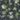Va Va Frome Green Wallpaper Wallpaper by Woodchip & Magnolia - Studio 198