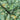 Parrot Talk Wallpaper Wallpaper by Woodchip & Magnolia - Studio 198