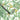 Parrot Talk Wallpaper Wallpaper by Woodchip & Magnolia - Studio 198