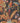 Parrot Talk Wallpaper Wallpaper by Woodchip & Magnolia - Studio 198