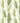Swingers Paradise Wallpaper Wallpaper by Woodchip & Magnolia - Studio 198